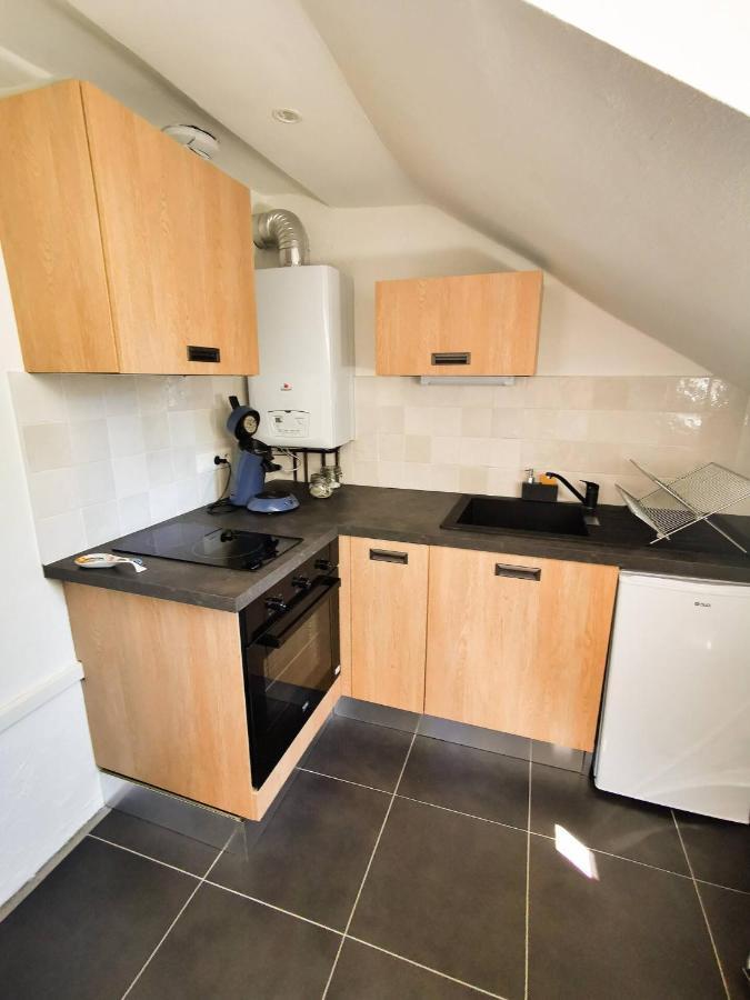 Appartement Cosy En Hypercentre - Le Petit Jules Dijon Bagian luar foto